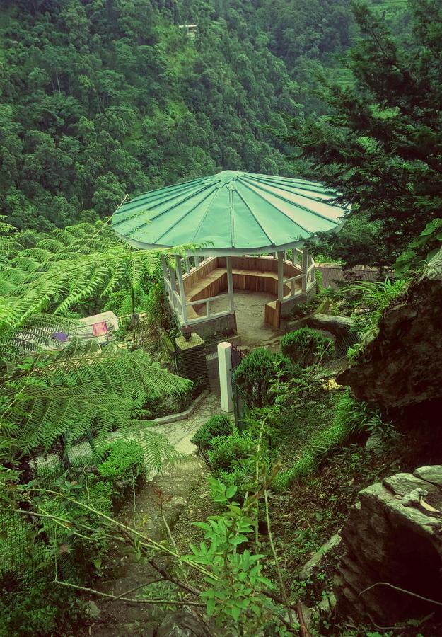 Enchanted Forest Farmstay Гангток Экстерьер фото