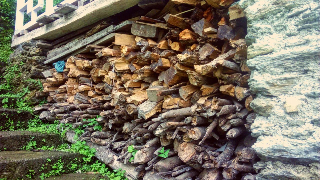 Enchanted Forest Farmstay Гангток Экстерьер фото